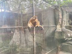 -南宁市动物园