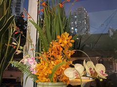 -蝶舍·MAISON PAPILLON