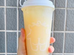 原创小黄皮-茶力的小怪兽(梅林卓悦汇店)