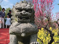 -南汇桃花村
