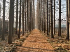 -金岛生态园烧烤露营地