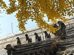 -潭柘寺景区