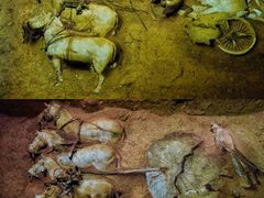 -秦始皇帝陵博物院-丽山园