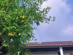 -全季酒店（苏州观前街平江路店）(原临顿路地铁站店)