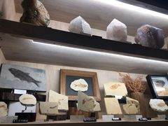 -诚品(信义店)