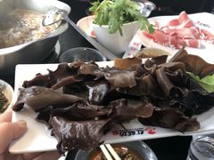 蜀中川木耳-红菇坊鲜汤火锅(北站店)