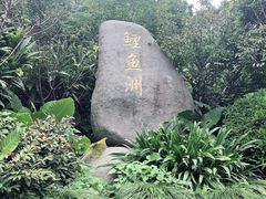 -福建鲤鱼洲酒店