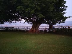 -邛海宾馆·玉鸥楼中餐厅