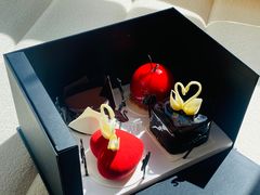 天鹅蛋-BLACKSWAN黑天鹅(环球店)