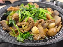 -华南师范大学石牌校区陶园