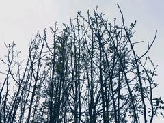 -月牙潭公园