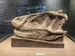 -自贡恐龙博物馆