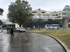 -复旦大学本部-食堂