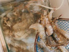 -步步高福朋喜来登·宜客乐西餐厅