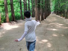 -日照海滨国家森林公园