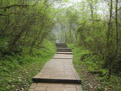 -西岭雪山大飞水景区