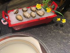 鲜活鲍鱼仔-景笙毋米粥底火锅(20年老字号)
