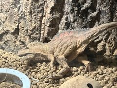 -江和美海洋公园
