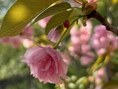 -白塘生态植物园