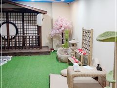 -白兔子密室(长寿路店)