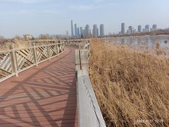 -哈尔滨音乐公园