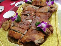 -泉龙渔村·粤式早茶·金牌烧鹅(中山三乡店)