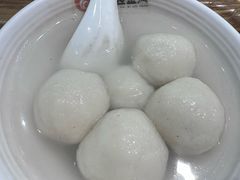 -海丝金凤(金鱼店)