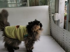 -小时光咖啡馆(北锣鼓巷店)