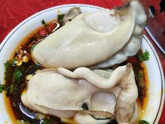-花苑美食横琴生蚝火锅(拱北粤华路店)