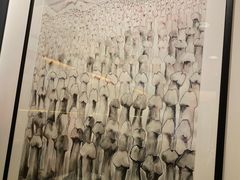 -冰岛阴茎博物馆