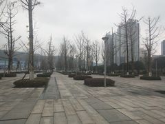 -百林公园-两江幸福广场