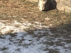 -沈阳市东陵公园