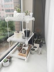 点击看大图 -索菲医疗整形美容