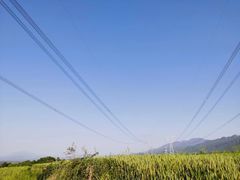 -秦岭风景区