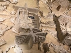 -洛阳周王城天子驾六博物馆