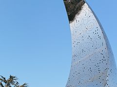 -莱西月湖公园