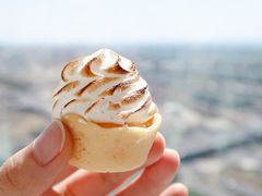 -墨尔本之星 观景摩天轮