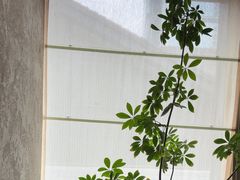 -元古雲境(太古里店)