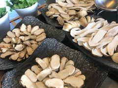 -蘑统田下·野生菌火锅