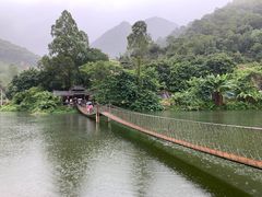 -紫云谷景区
