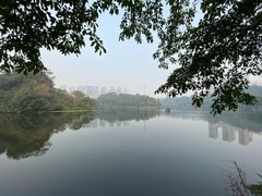 -重庆彩云湖湿地公园