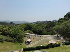 -龙坞茶村