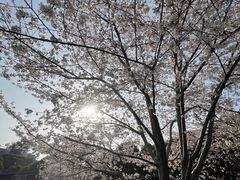 -玉山公园