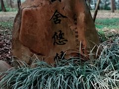 -海珠湖公园