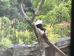 -宁波野生动物园