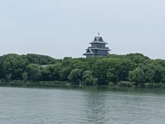-金鸡湖桃花岛