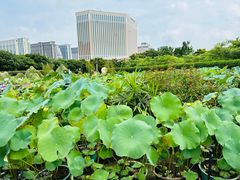 -龙环葡韵住宅式博物馆