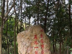 -深圳国际园林花卉博览园