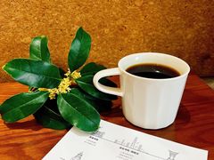 -Radar Coffee(思南路店)