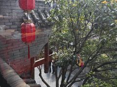 -小龙翻大江文化火锅(宽窄店)